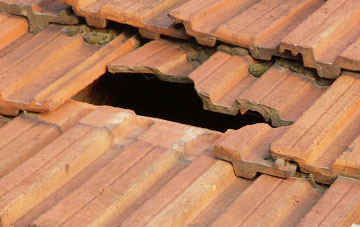 roof repair Withybrook