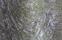 Withybrook fibreglass roof work